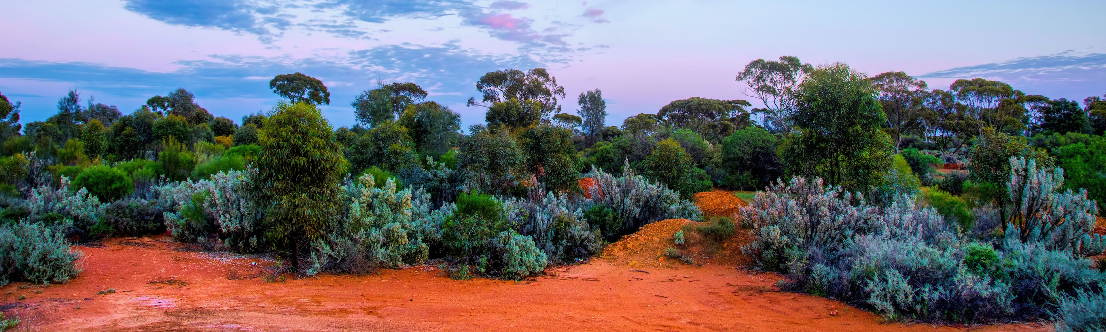 Kalgoorlie