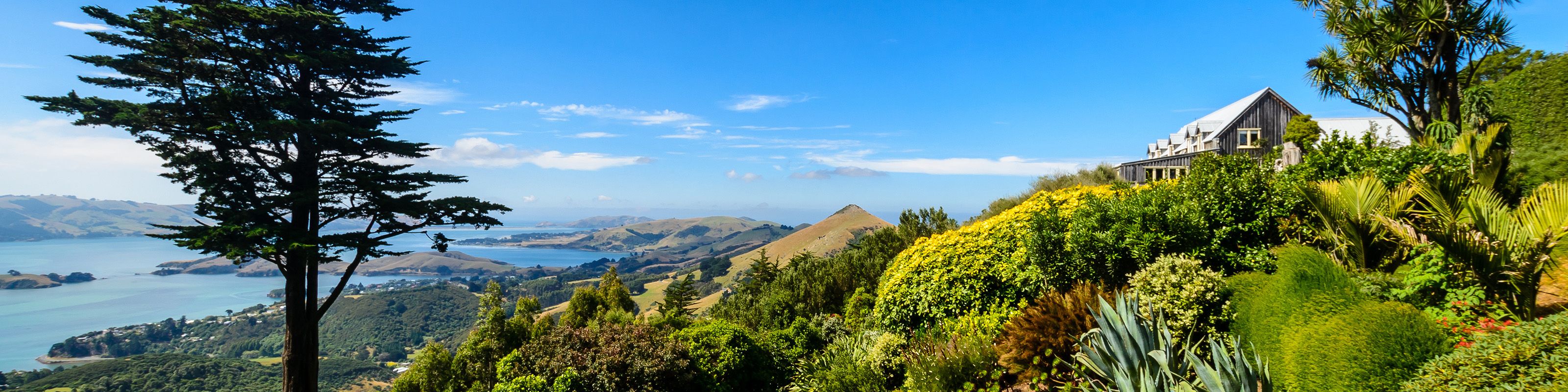 REISEF HRER DUNEDIN 2026 DAS BESTE IN DUNEDIN ENTDECKEN visual data 6