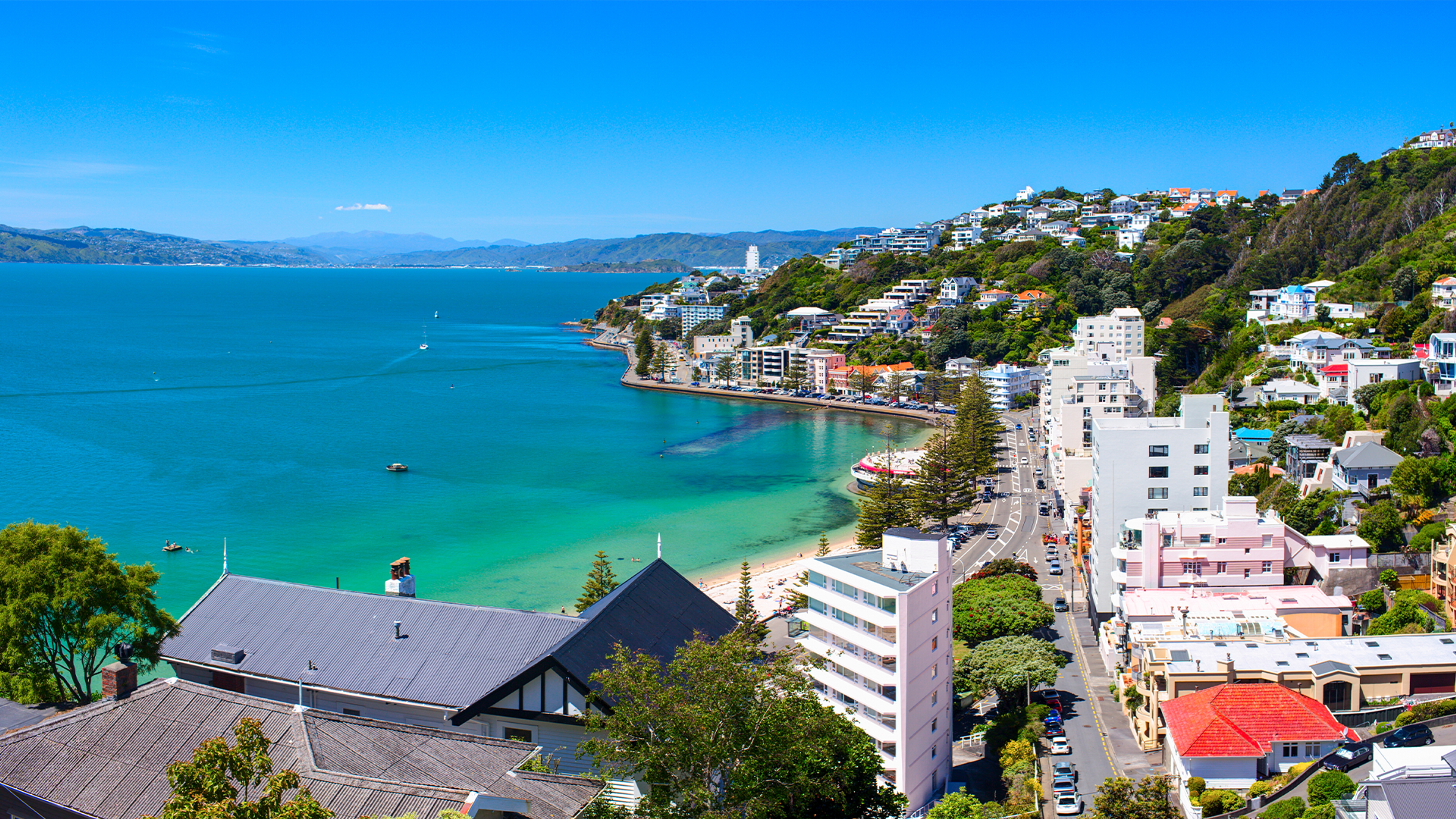 Wellington Holiday Packages