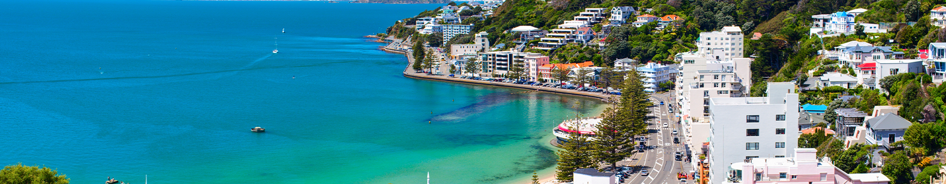Wellington Holiday Packages