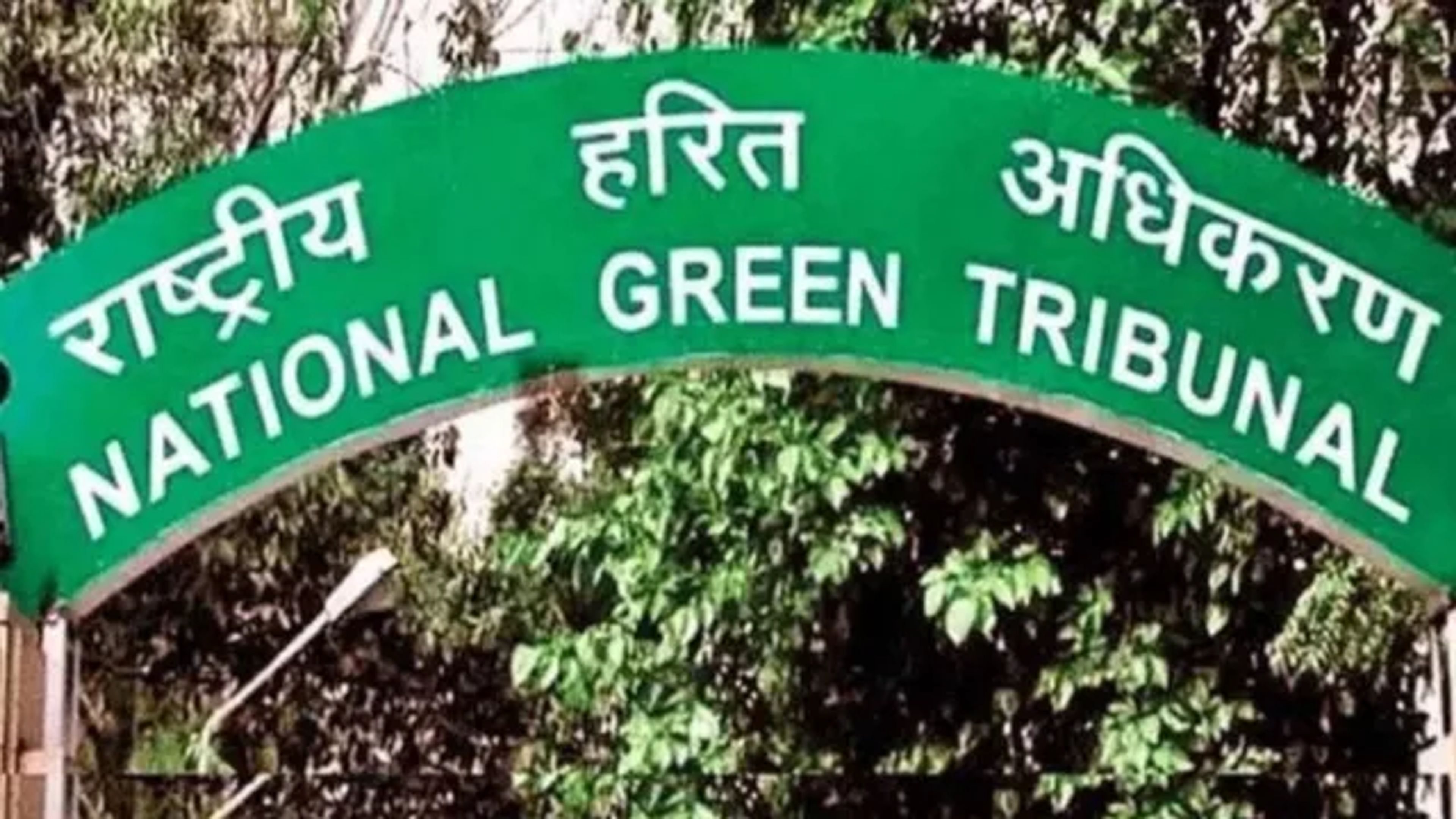 NGT की बड़ी पहल: दिल्ली में जुटेगा 15 देशों के जजों का महाकुंभ, 19 सितंबर से पर्यावरण पर मंथन