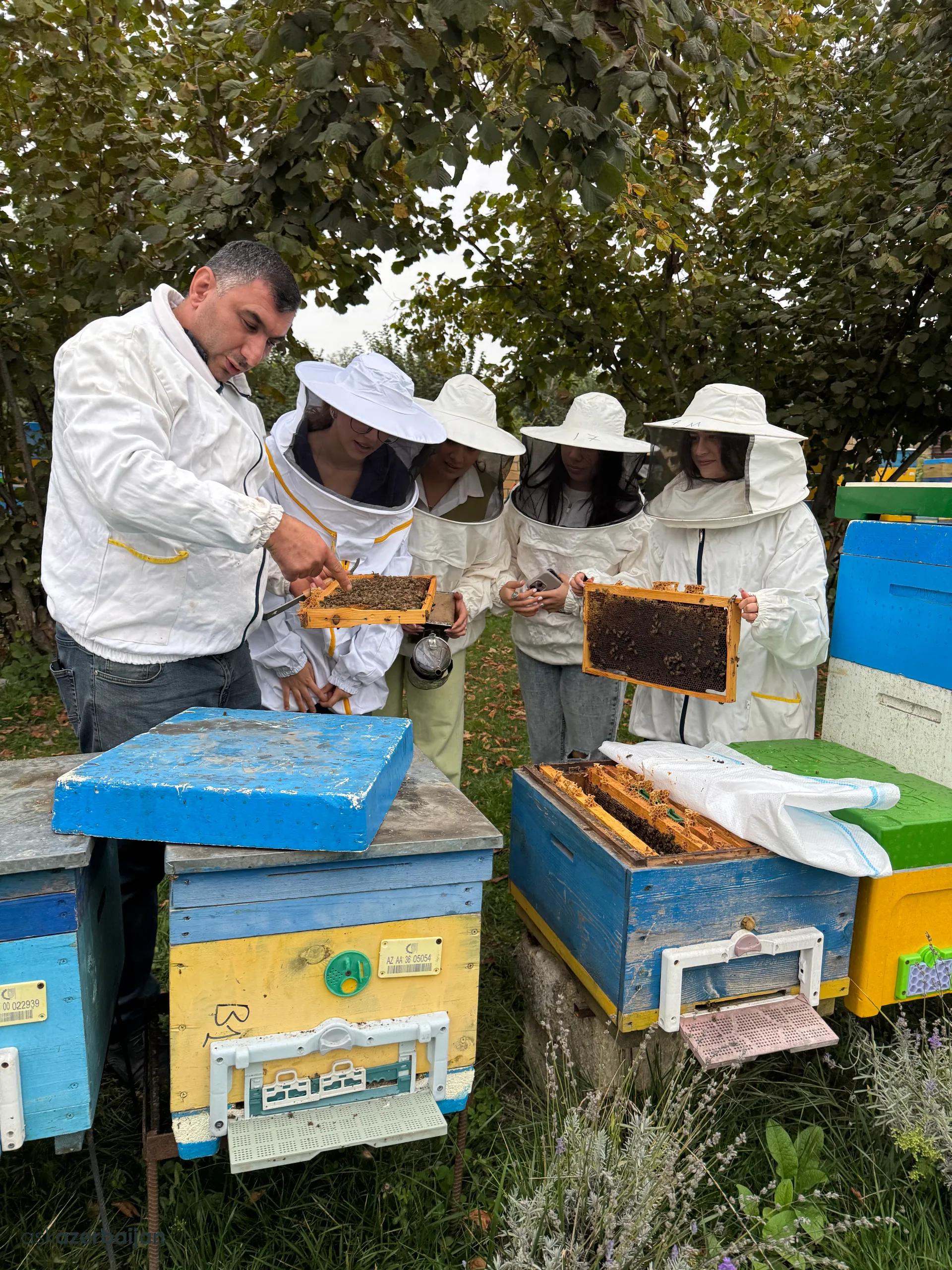 Beekeeping Farm Excursion