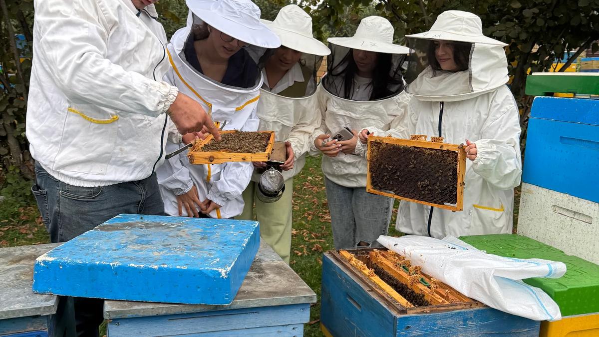 Azerbaijan: Honey Beekeeping