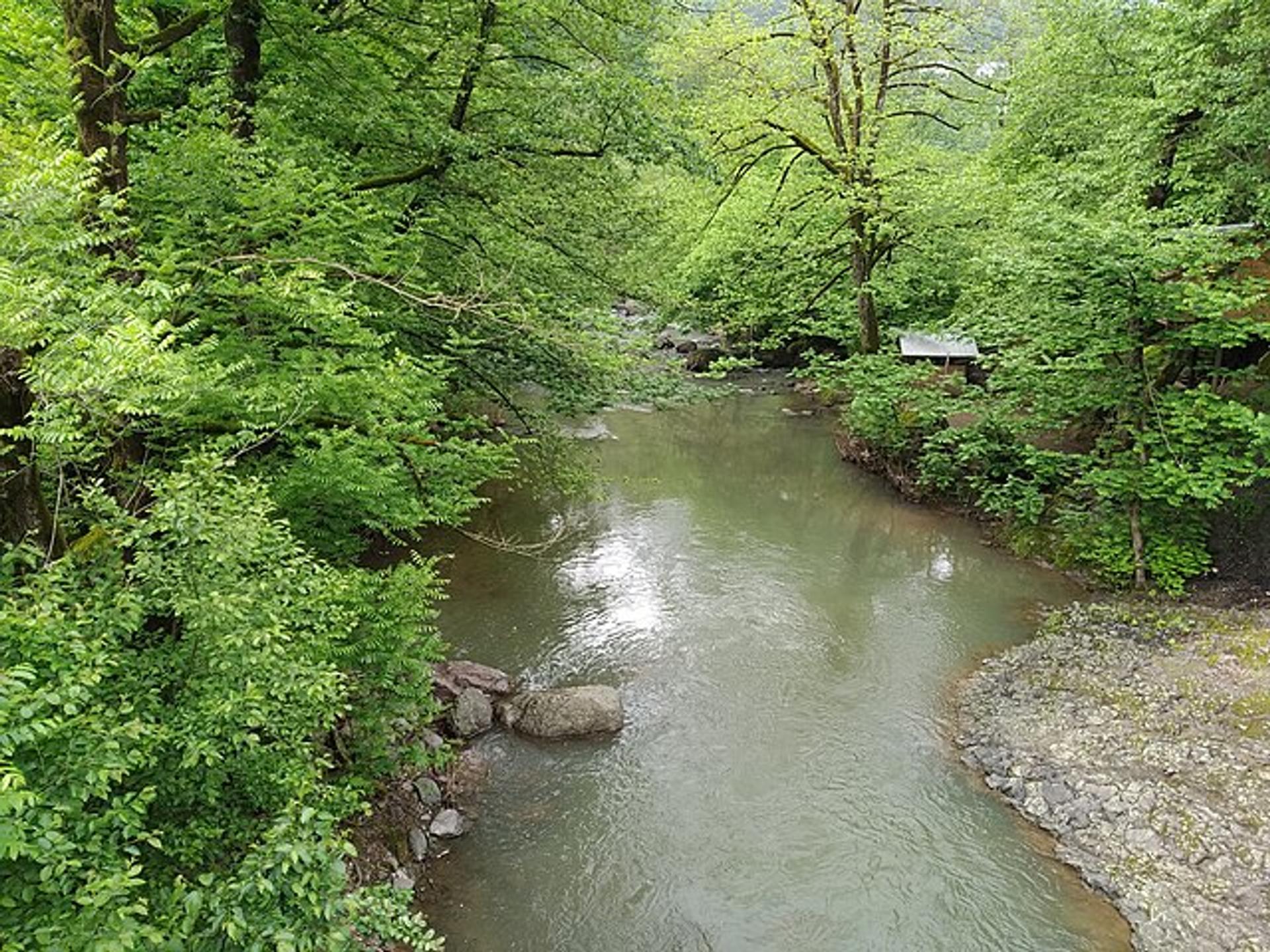 Gallery image 2