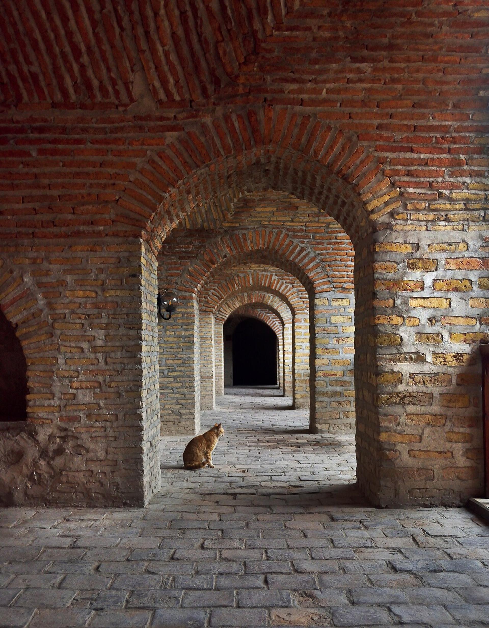 Gallery image 3