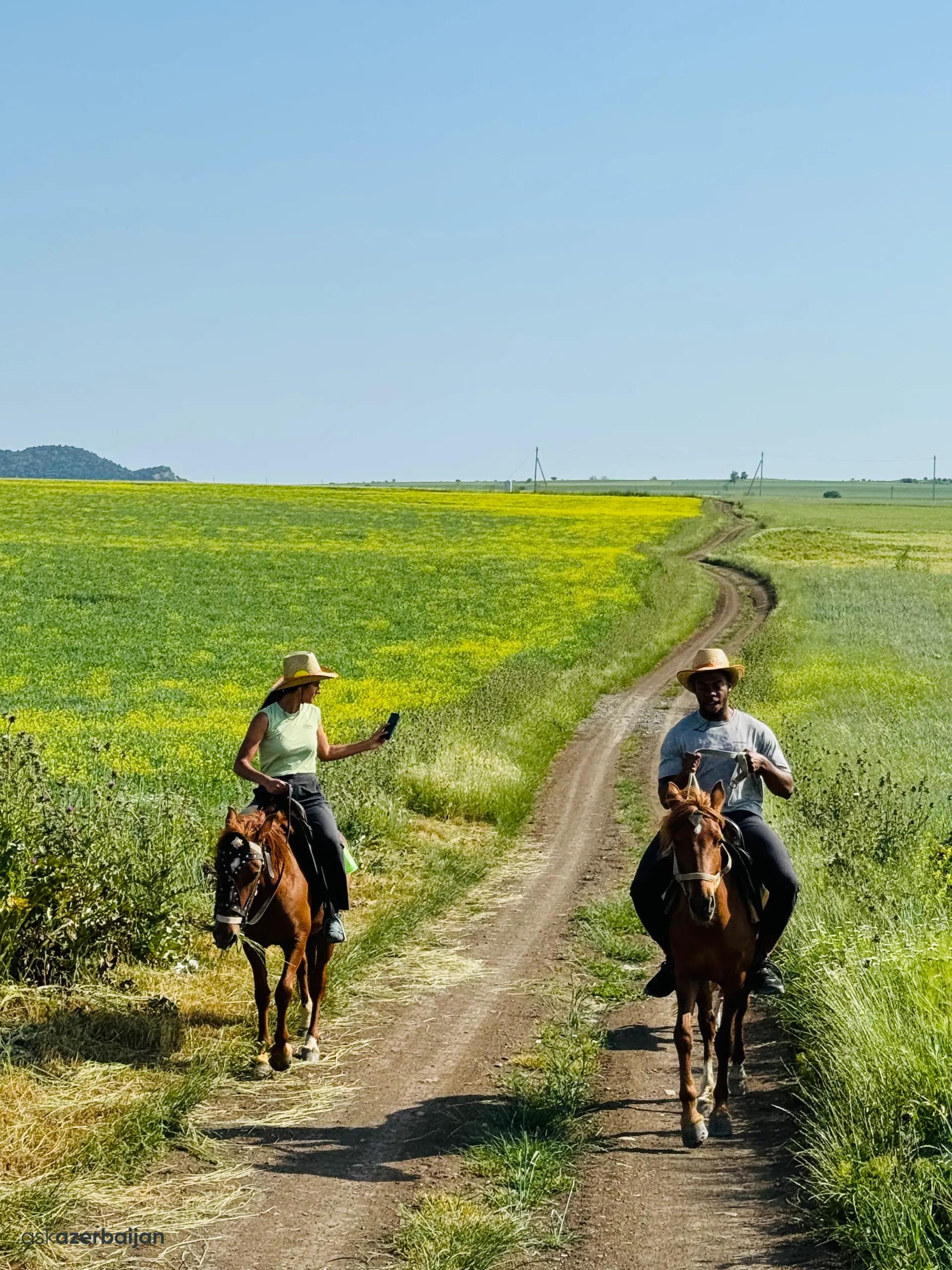 Horse Riding in the Nature