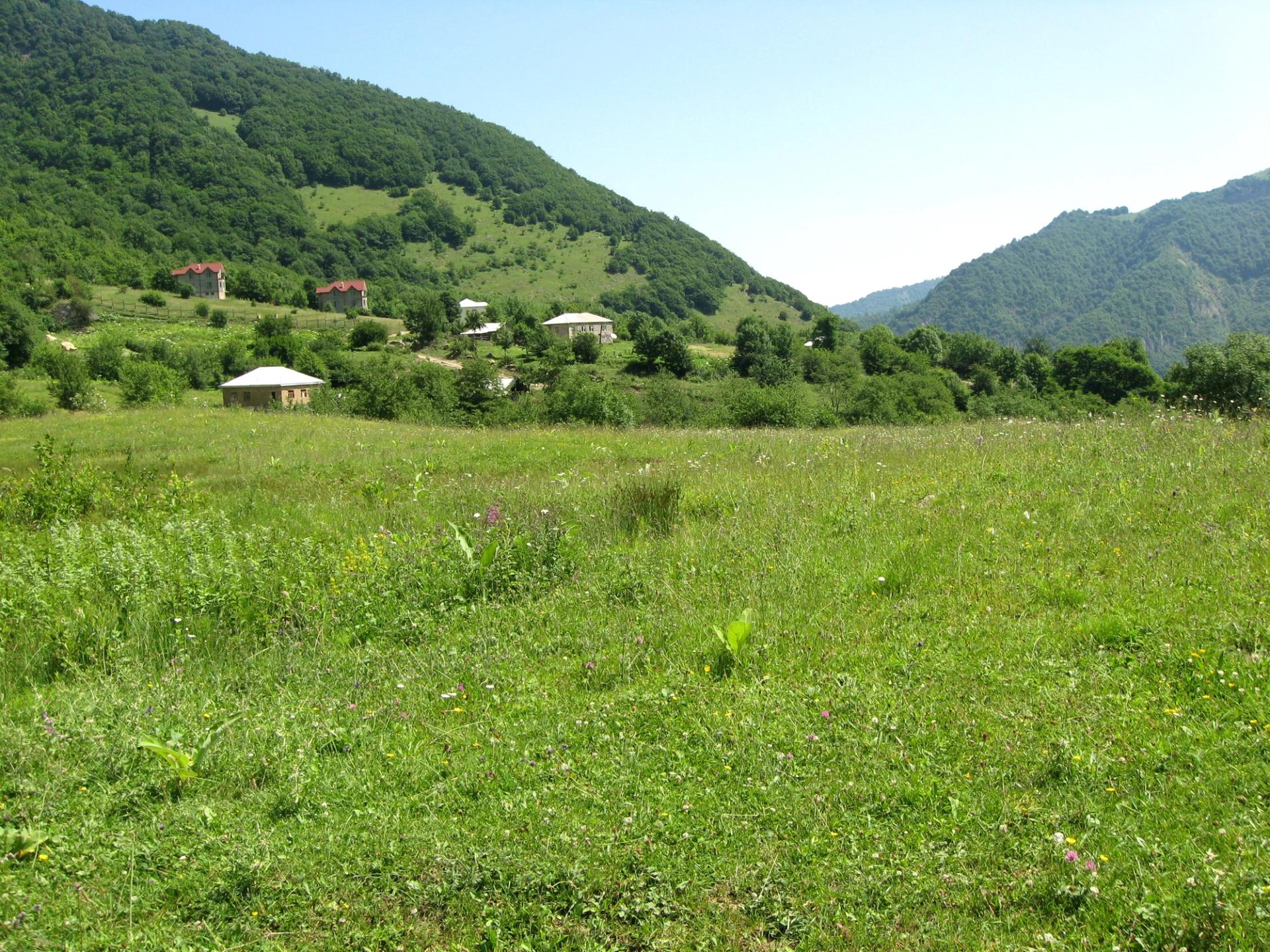 Qechresh Forest