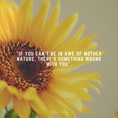 Nature Quotes Beauty Image