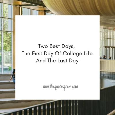 Amazing Quotes About College Life