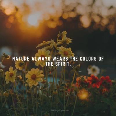 Nature Quotes Beauty Flower