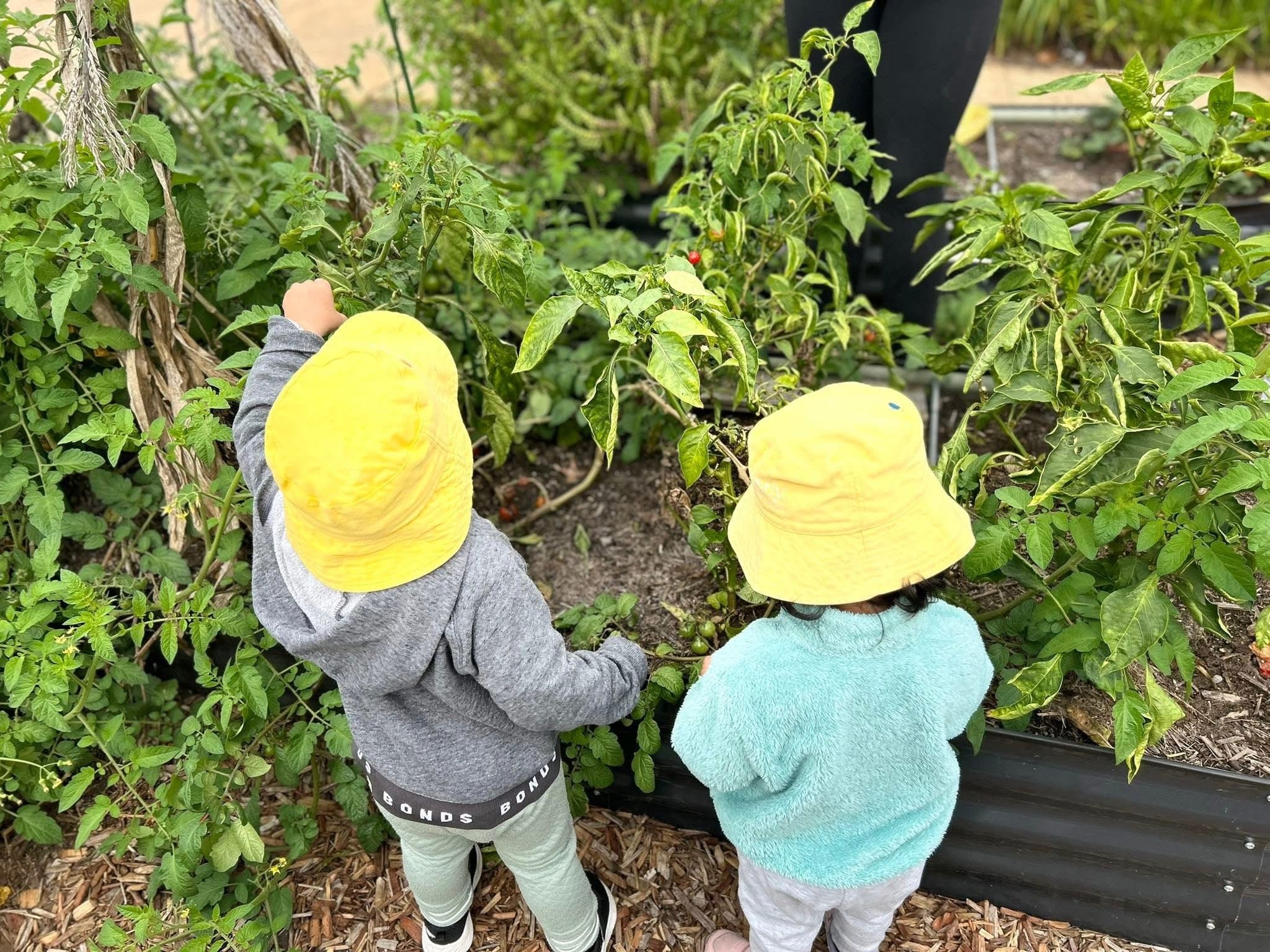 Grantham Farm Childcare Centre gallery image 5