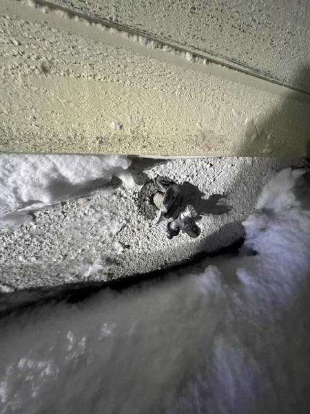 Bildet viser påkjørt hagevann