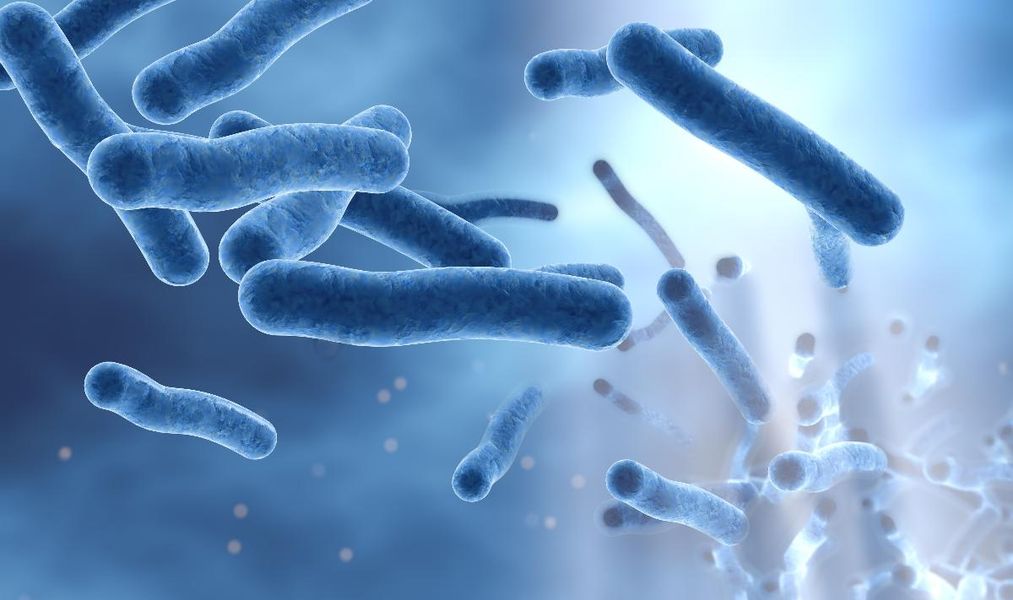 Bilde viser legionella 