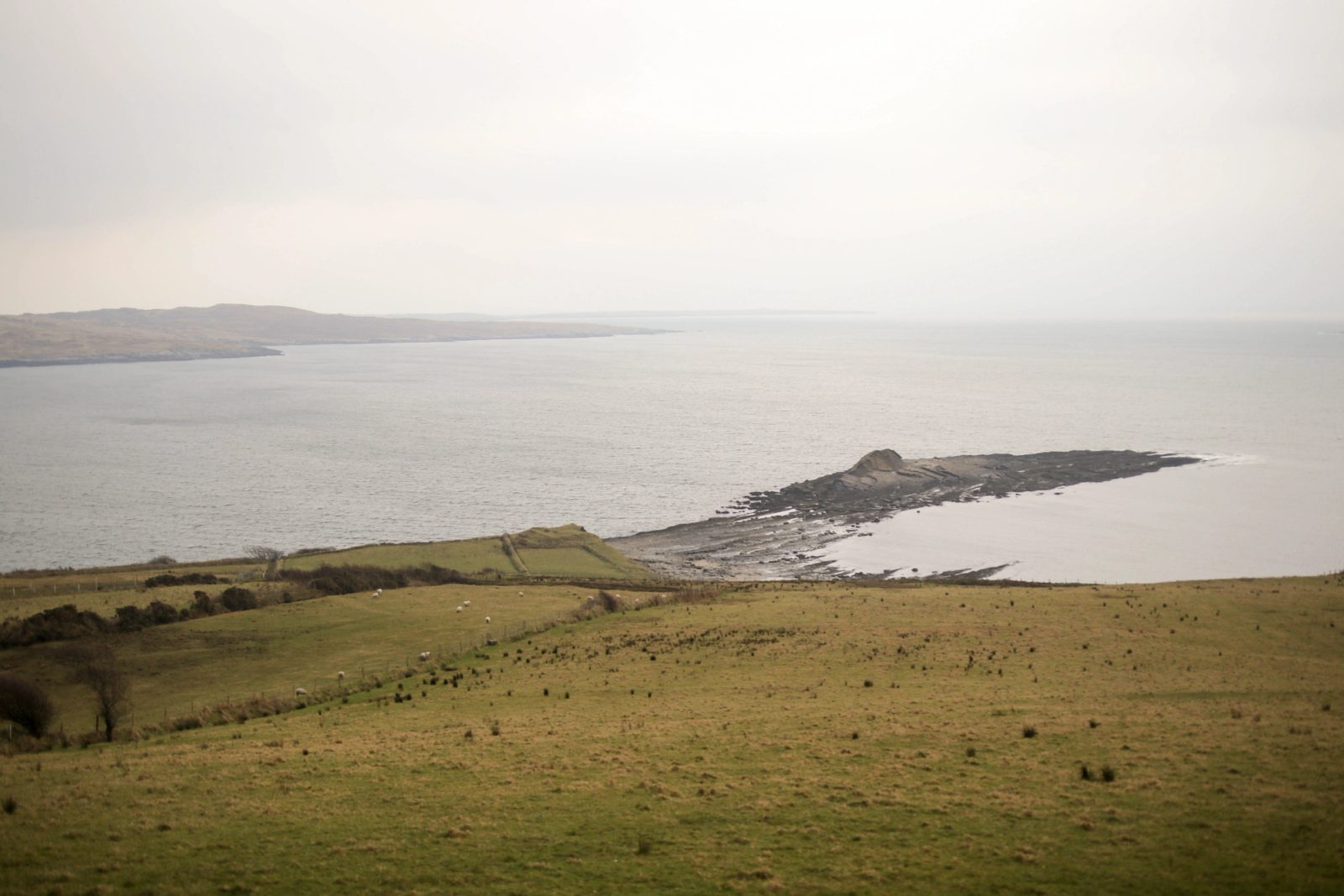 A coastal landscape showing green pasture fields in the foreground with a rocky peninsula extending into calm waters under an overcast sky.