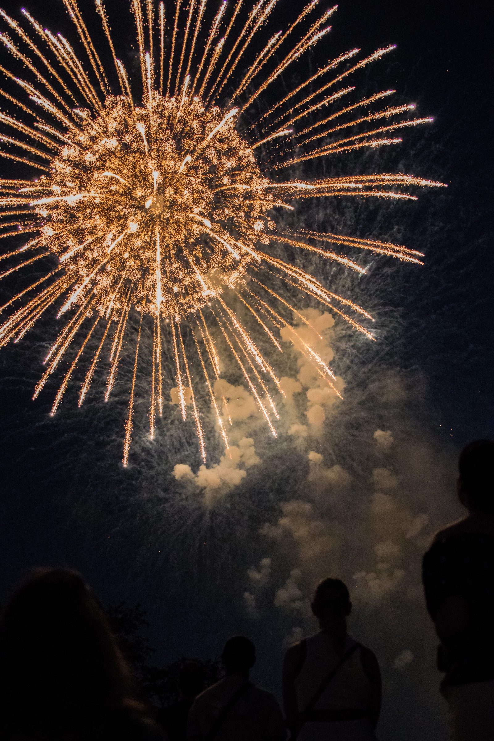 A gold firework explodes overhead against a dark sky with smoke trails, while silhouetted figures of spectators watch from below.