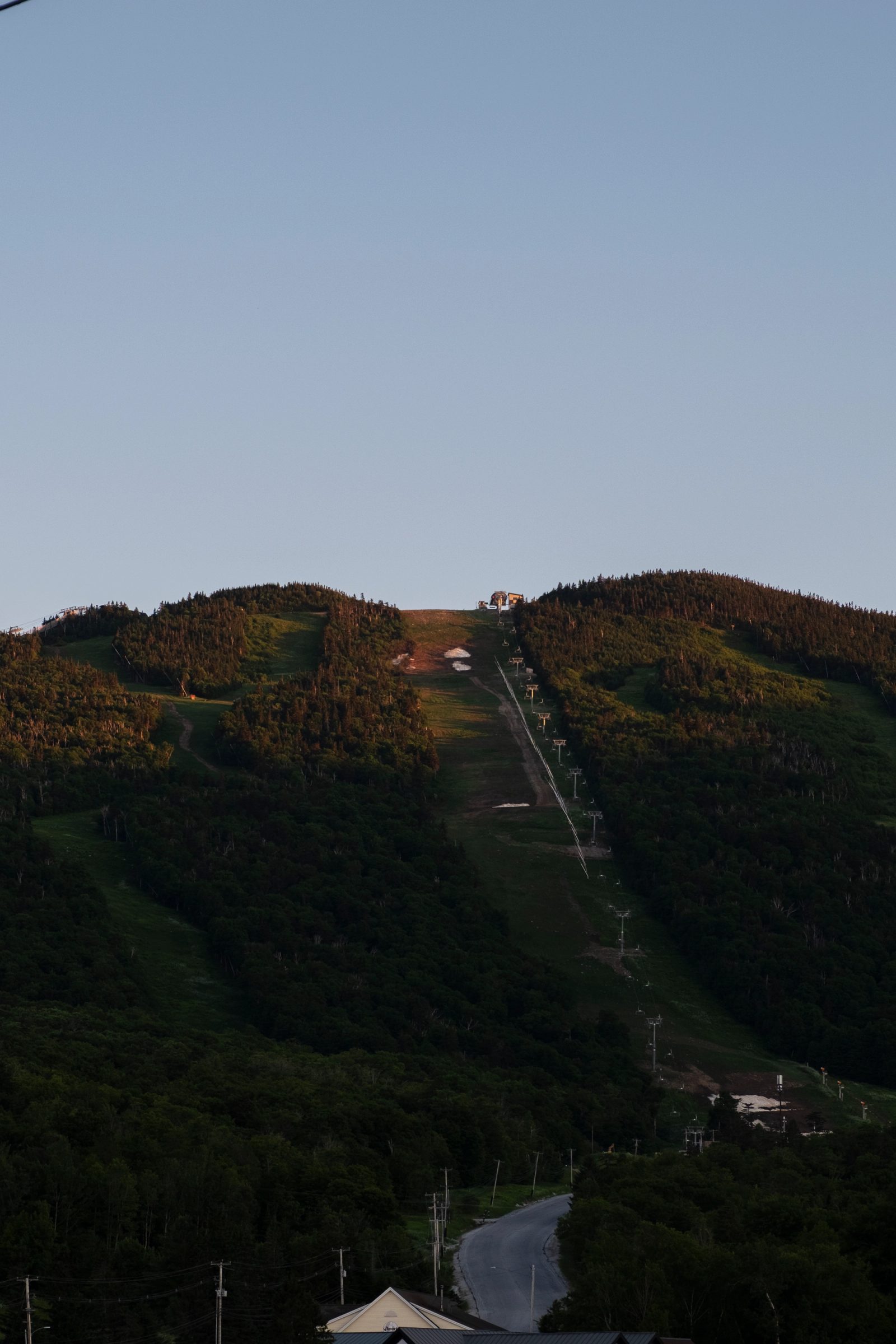 A ski lift line running vertically up a forested mountain slope during dusk with green grass runs visible among the trees and a pale blue sky above.