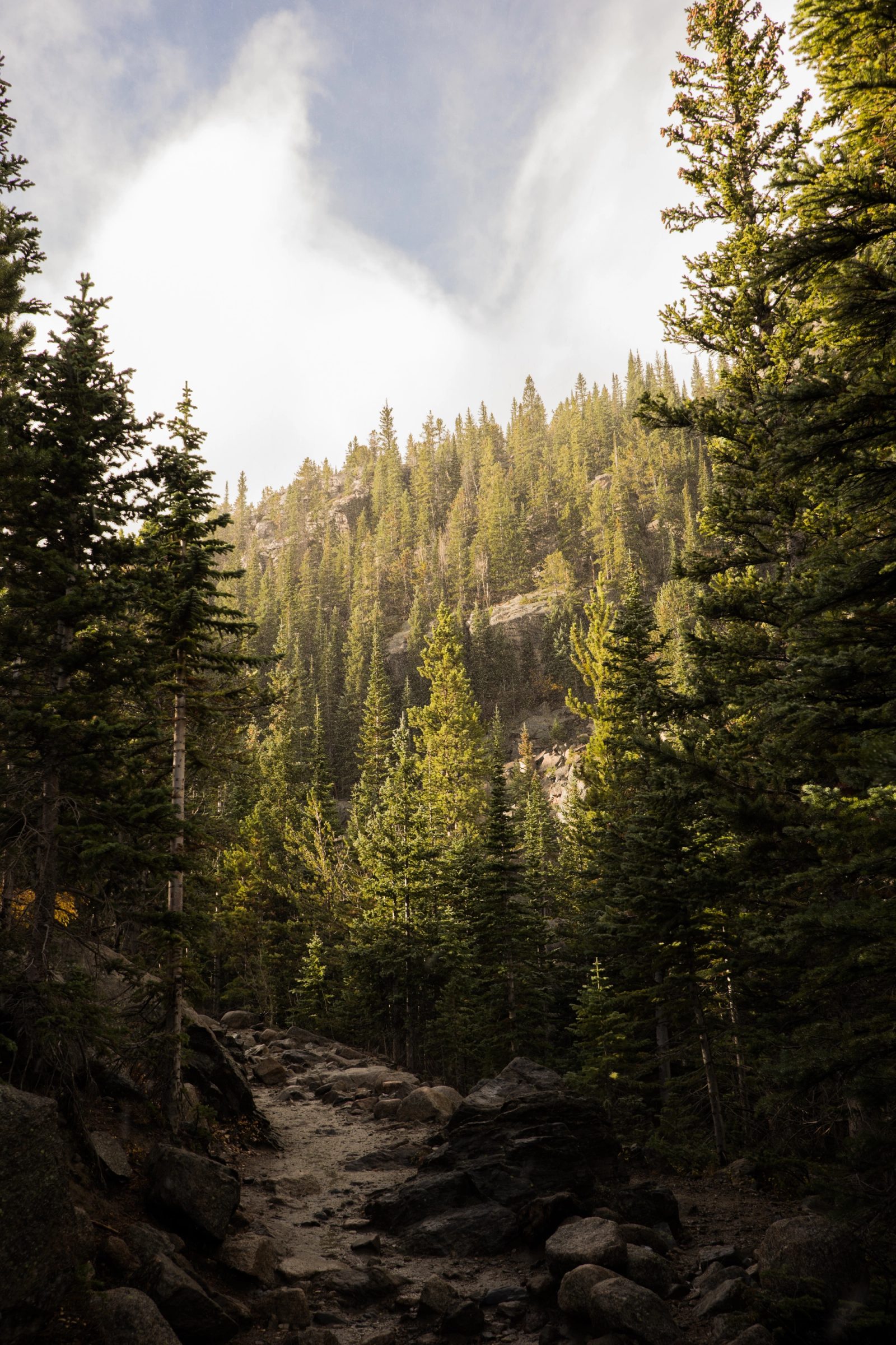 A hiking trail with rocks and dirt leads through a forest of conifer trees, with sunlit trees on a hillside visible in the background under a partly cloudy sky.