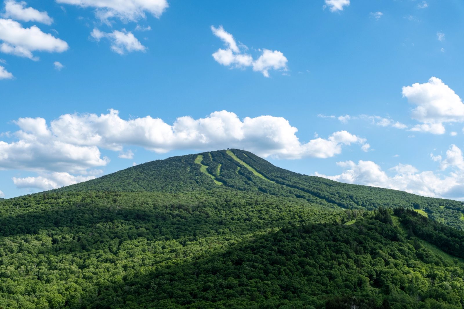 A densely forested mountain with visible ski trails cutting down its slopes under a blue sky with white clouds.