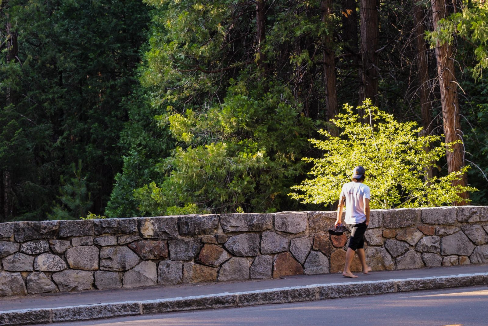 A person in a white shirt and dark shorts walks along a paved road beside a rustic stone retaining wall with illuminated yellow-green foliage and dense forest in the background.