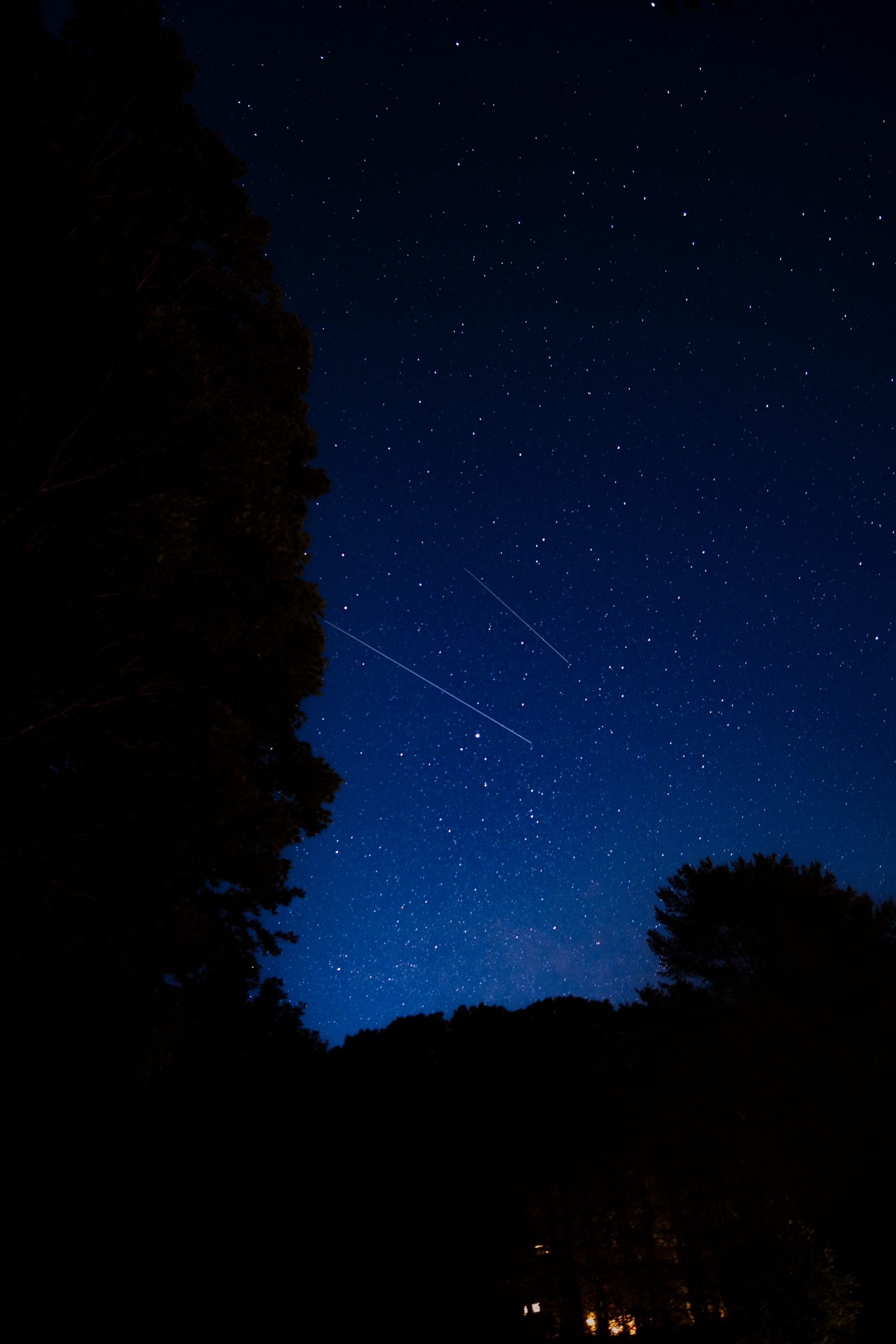 A night sky photograph showing stars and a constellation outlined by thin lines, framed by silhouetted trees on both sides with a distant light visible at the bottom.