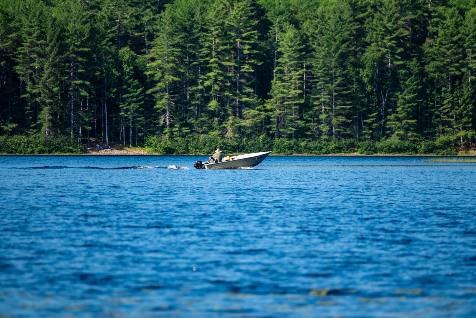 A small motorboat with a single occupant travels across a calm blue lake with dense coniferous forest lining the distant shore.
