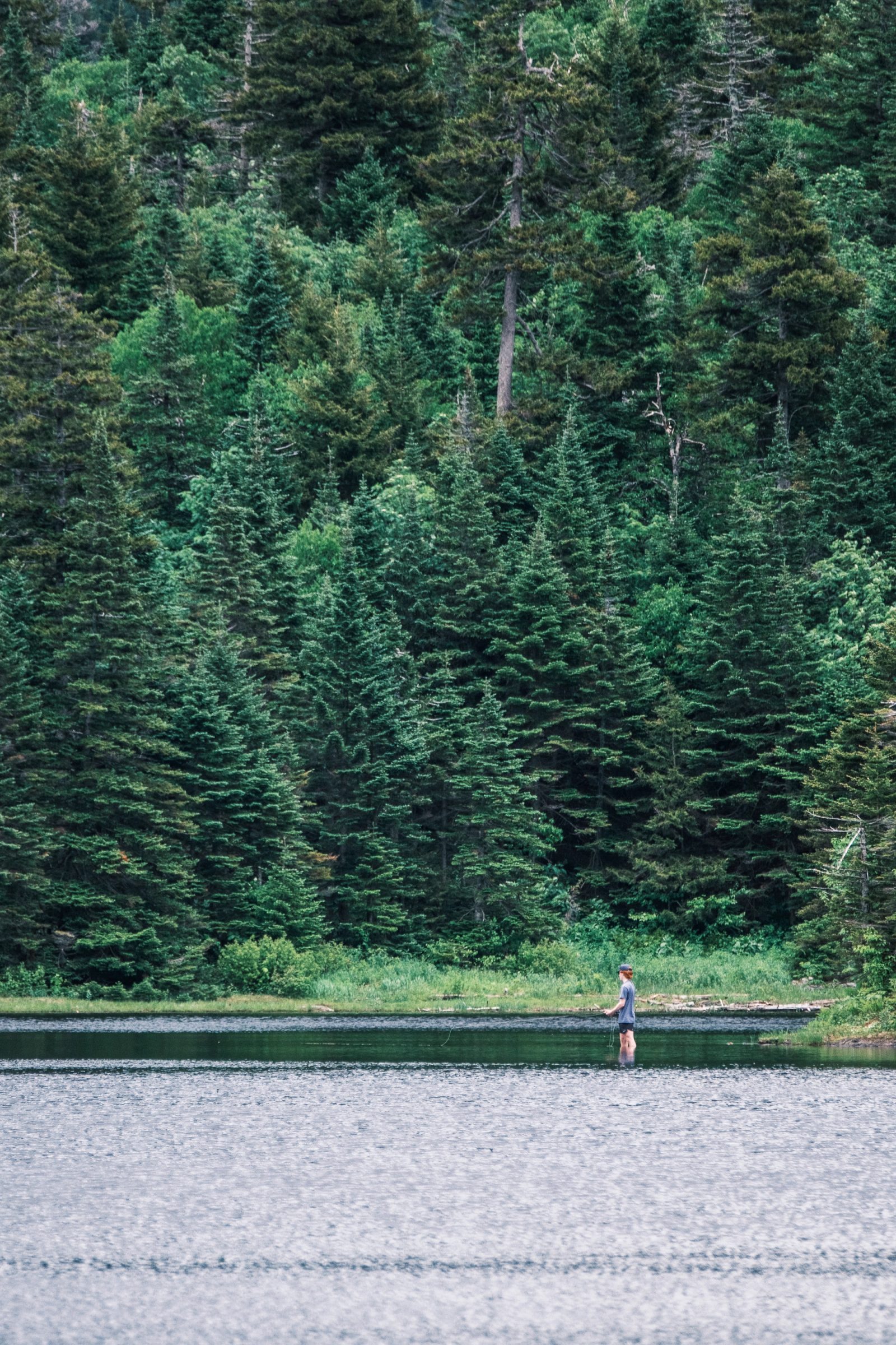 A person paddling a small boat on calm water with a dense coniferous forest covering the hillside behind them.