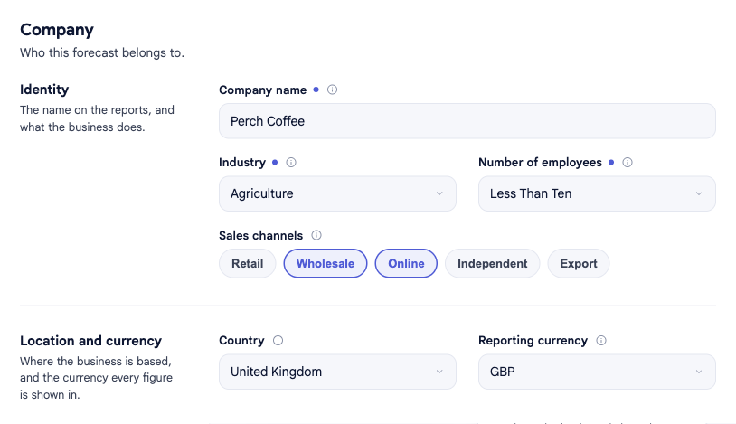 The Company section of Company options in bluprnts, showing Identity fields (company name, industry, number of employees, sales channels) and Location and currency fields (country, reporting currency) for Perch Coffee.