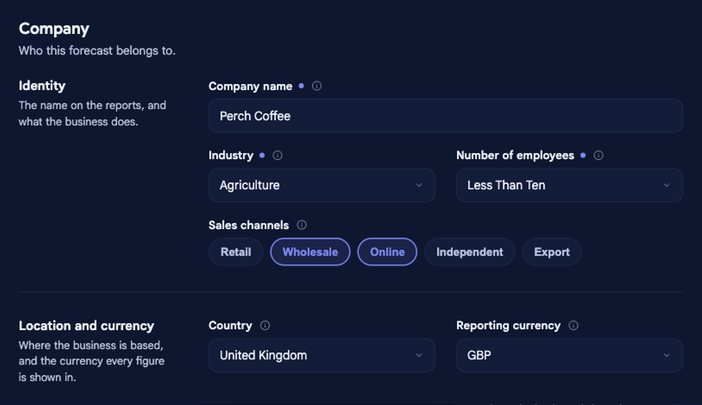 The Company section of Company options in bluprnts, showing Identity fields (company name, industry, number of employees, sales channels) and Location and currency fields (country, reporting currency) for Perch Coffee.
