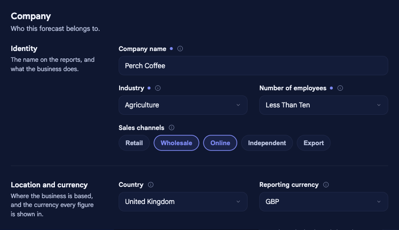 The Company section of Company options in bluprnts, showing Identity fields (company name, industry, number of employees, sales channels) and Location and currency fields (country, reporting currency) for Perch Coffee.