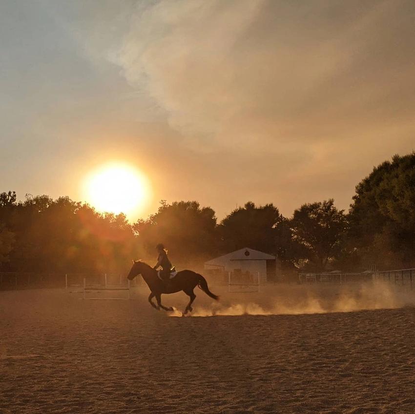 horse and rider riding in arena during sunset