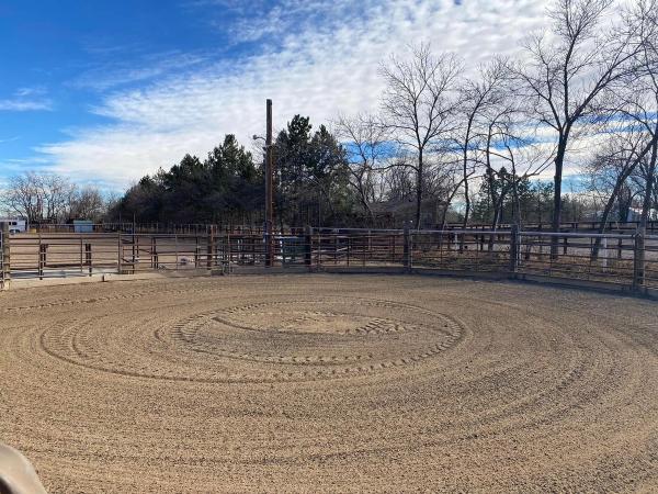 round pen that has been groomed
