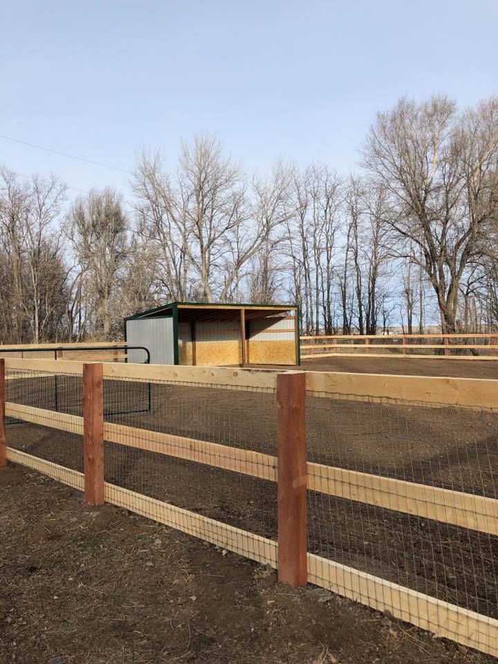 new fence and horse shed in the background