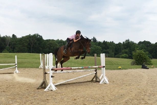 horse and rider jumping a jump in arena