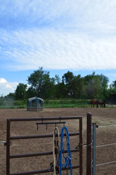 horse pen with gate in foreground.