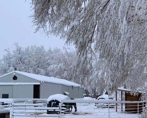 horse pen covered in snow and barn in background