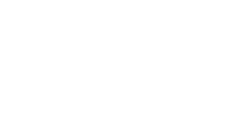 Mint.io