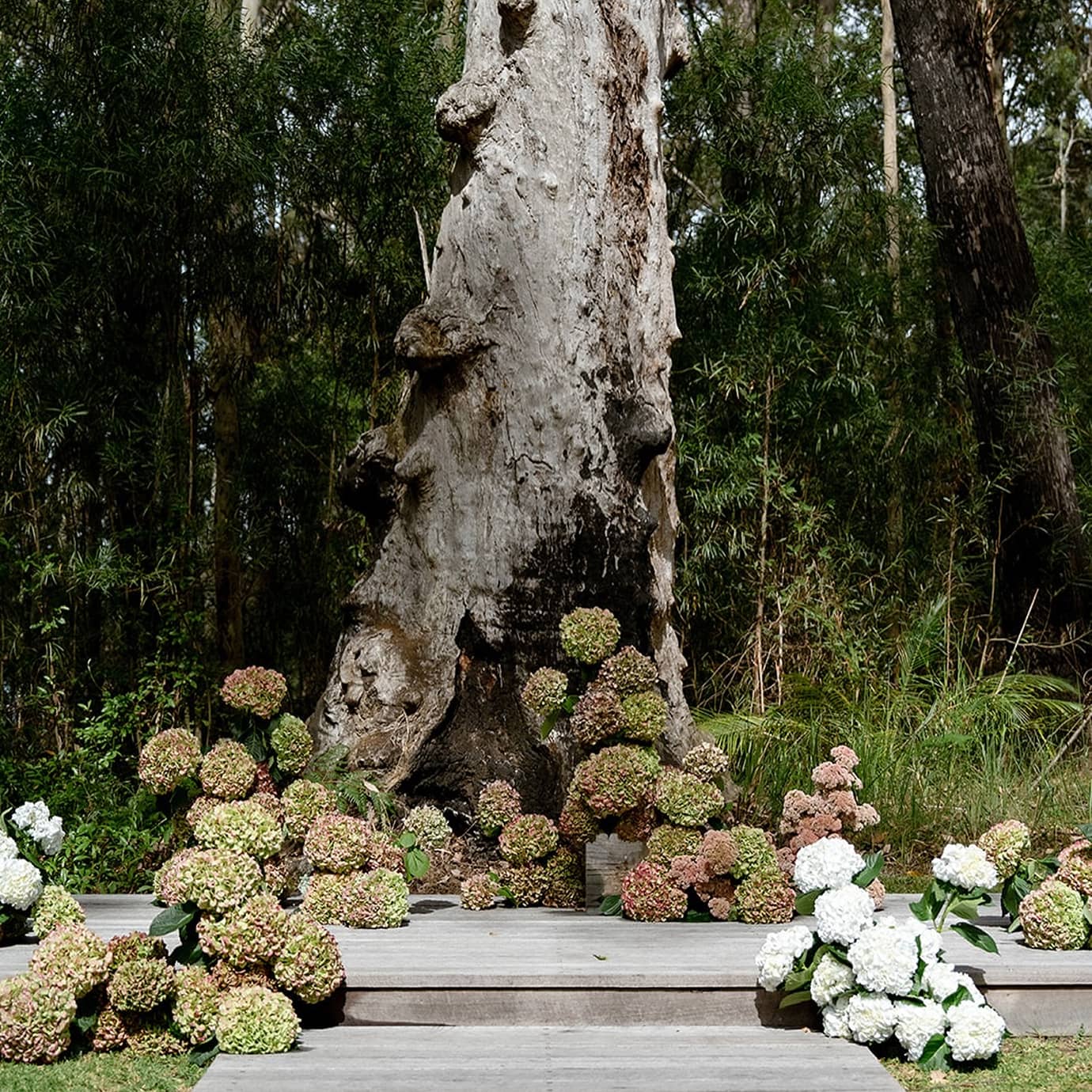 The Jackson Ranch by Bannisters