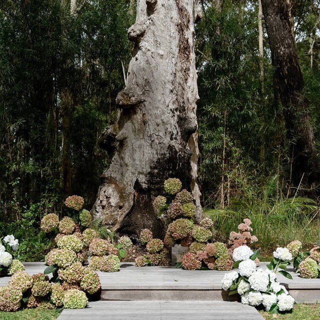 The Jackson Ranch by Bannisters