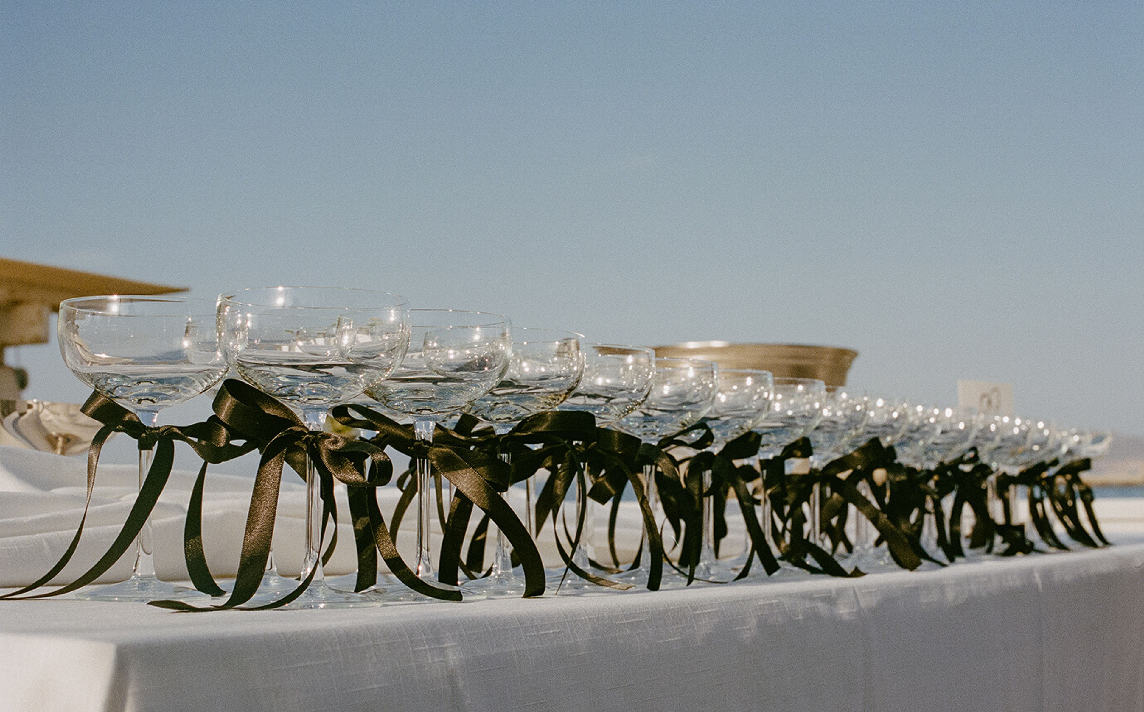 Cameron Wells and Ben Rush Wedding VEIL