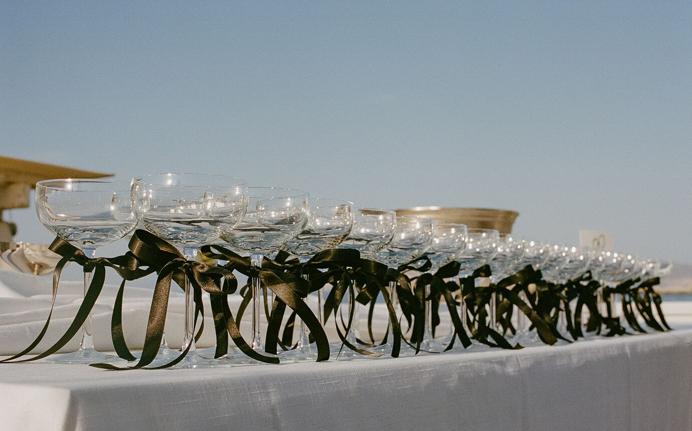 Cameron Wells and Ben Rush Wedding VEIL