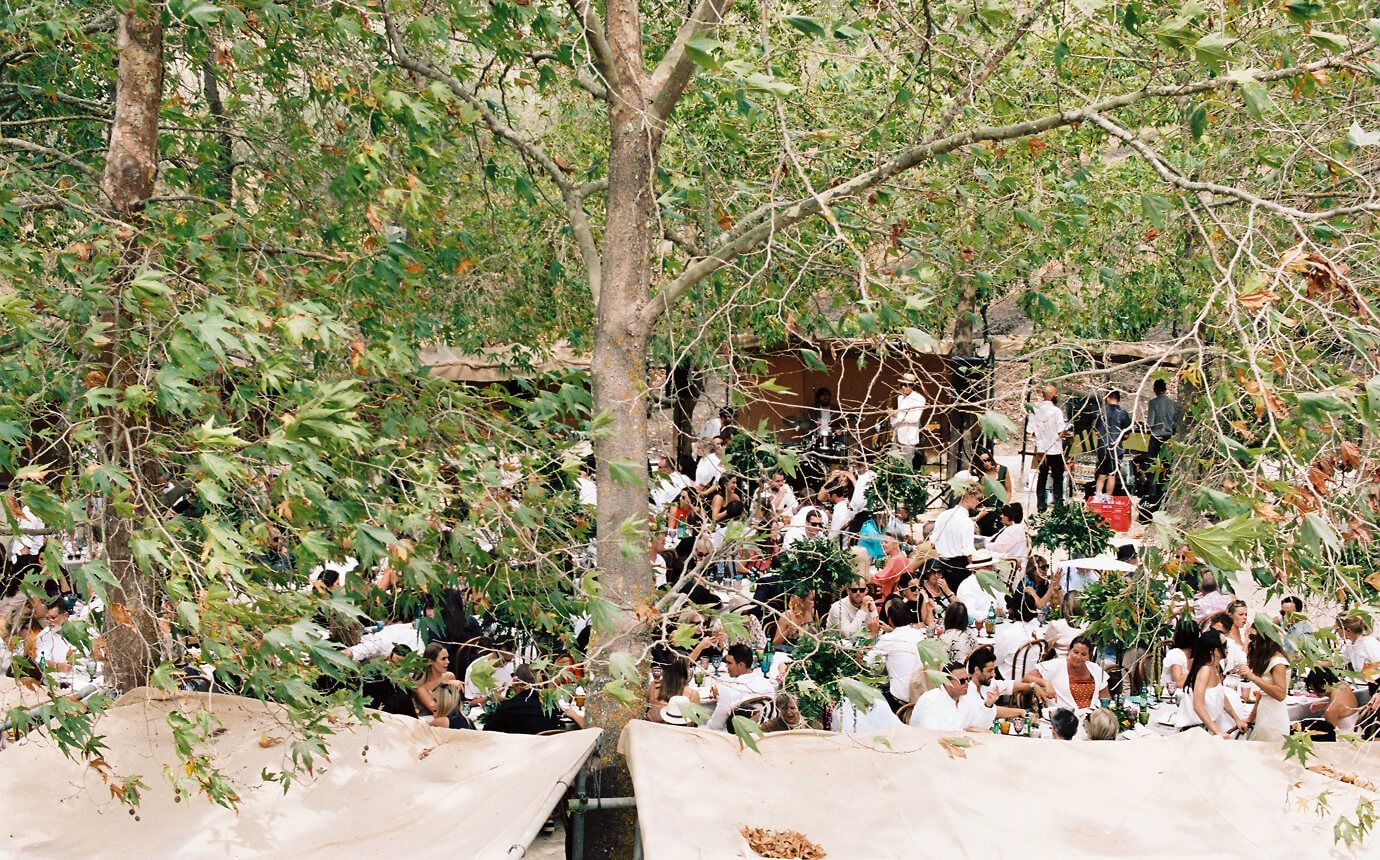 Milly and Ollie Wedding