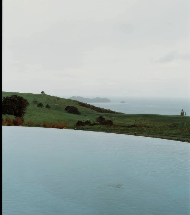 Kauri Cliffs