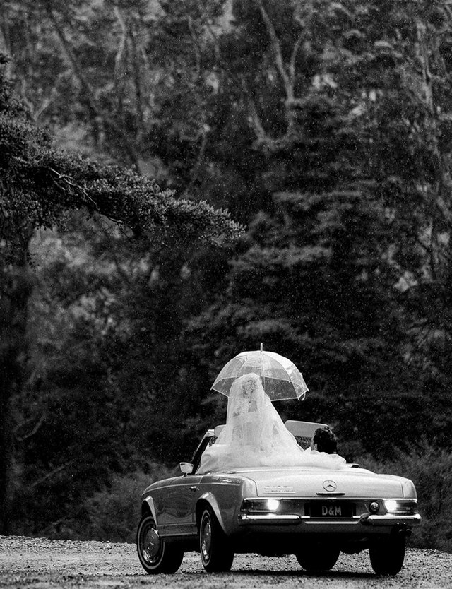 Dominique Wisniewski and Mark Francis Wedding