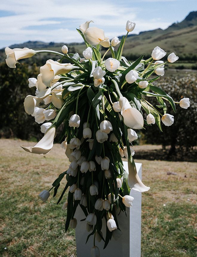 Hannah Moore Sniff Flowers Hawkes Bay