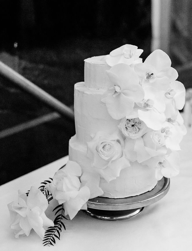 Sara Crampton VEIL advice