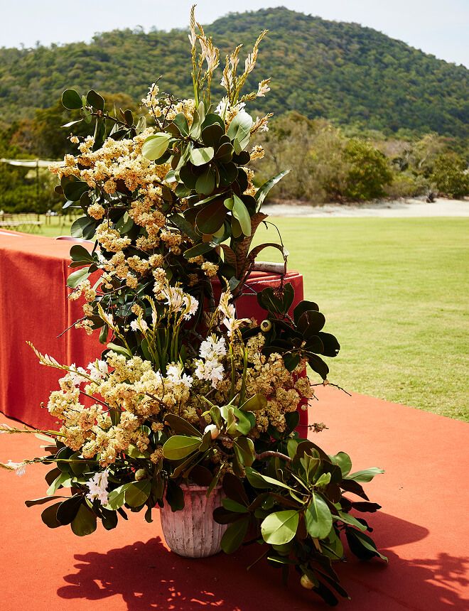 Isabelle & Ben Wedding