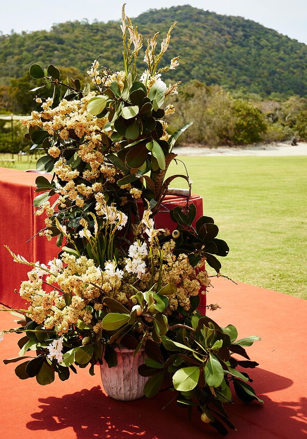 Isabelle & Ben Wedding