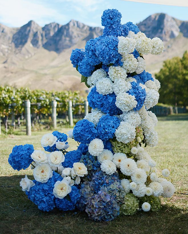 Hannah Moore Sniff Flowers Hawkes Bay