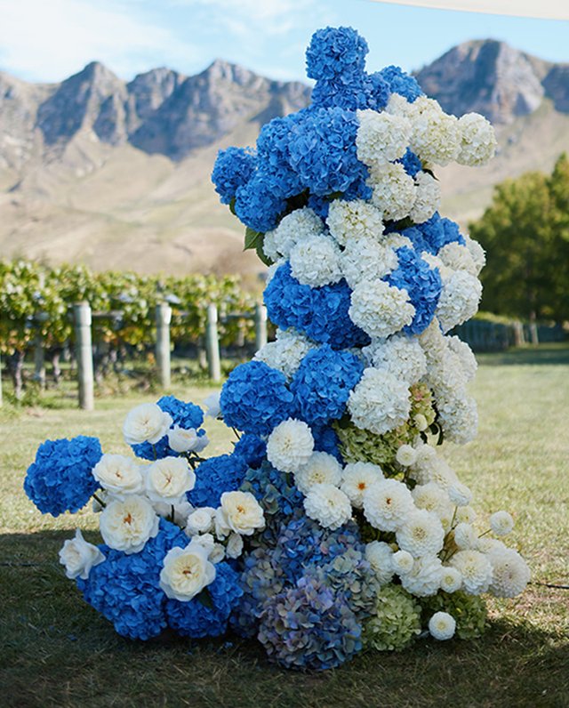 Hannah Moore Sniff Flowers Hawkes Bay