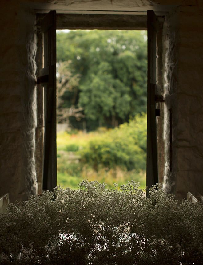 Max and Tayla's Wedding